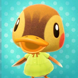 Molly the duck